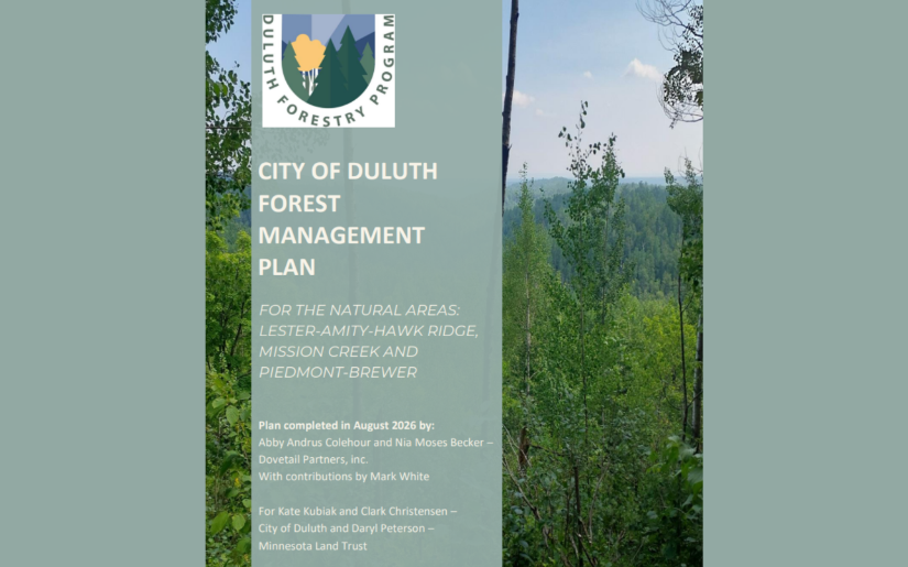 Dovetail&rsquo;s Abby Andrus and Nia Moses Becker Lead Forest Management Planning for Duluth